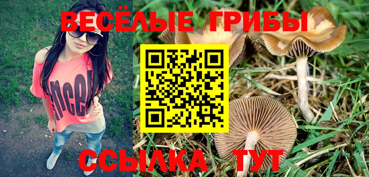 Псилоцибиновые грибы Magic Shrooms  Вход с VPN  Нововоронеж 